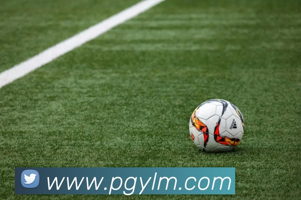 pg模拟器品牌故事